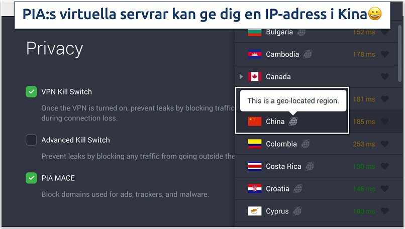Screenshot of PIA's privacy settings and virtual servers in the app